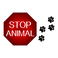stopanimal